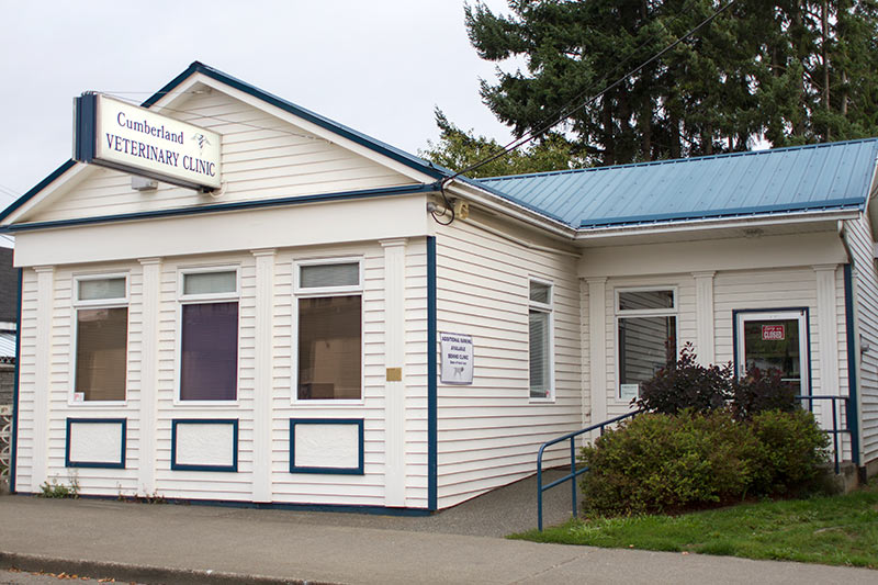 Photo album of our clinic.