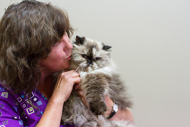 Champion Vet's staff member kissing a cat.