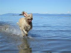 Photo album of some of our happy patients.